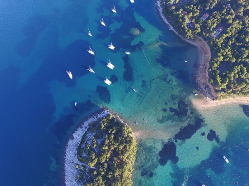 From Biograd: Golden Island of Vrgada Trip with Lunch - The Sum Up