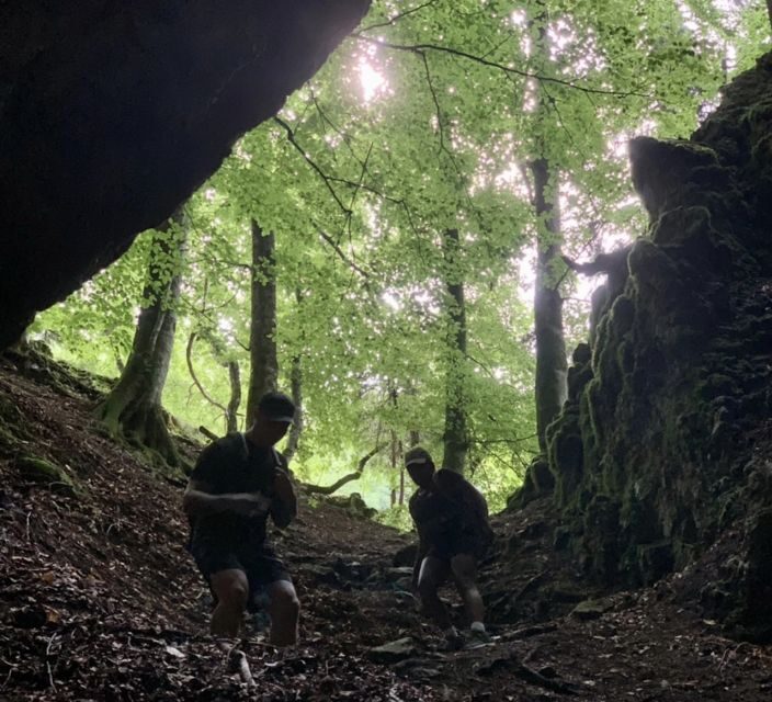 From Bled: Half-Day Pokljuka Gorge Trail Hike - The Itinerary Breakdown