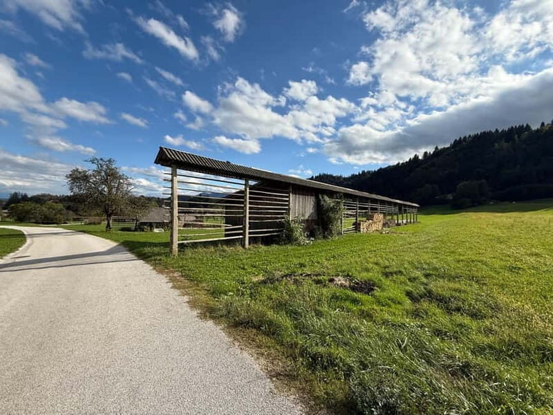 From Bled: Self Guided E-Bike Trip to Triglav National Park - A Detailed Look at the Experience