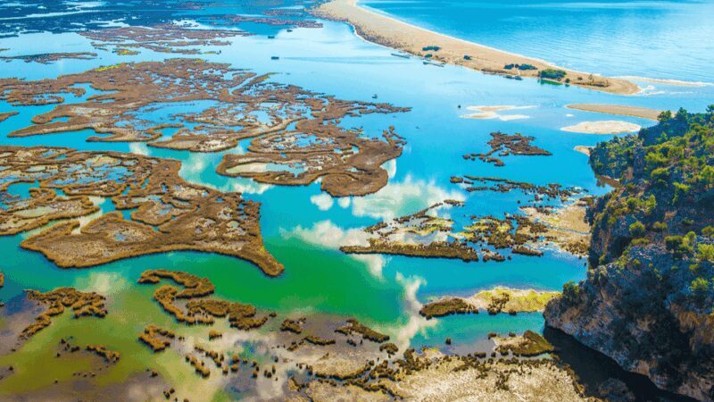 From Bodrum: Dalyan, Turtle Beach, and Mud Baths Day Trip - Final Thoughts: Is This Tour Right for You?