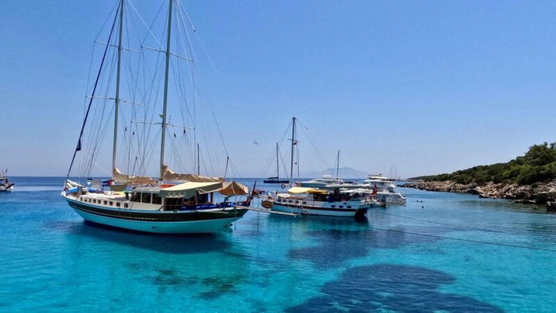 From Bodrum: Orak Island Boat Trip with Swim Stops and Lunch - Who Will Love This Tour?