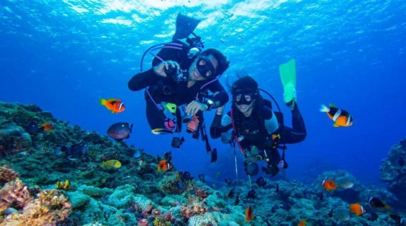 From Bodrum: Scuba Diving in the Aegean Sea - Introduction to the Tour