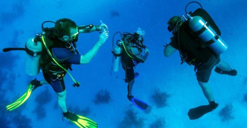 From Bodrum: Scuba Diving in the Aegean Sea - Why This Tour Offers Good Value
