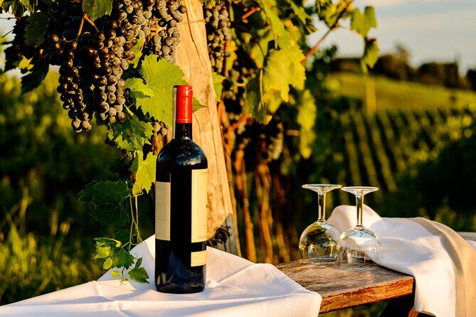 From Bologna: Chianti wine Experience with lunch - Exploring the Experience in Detail