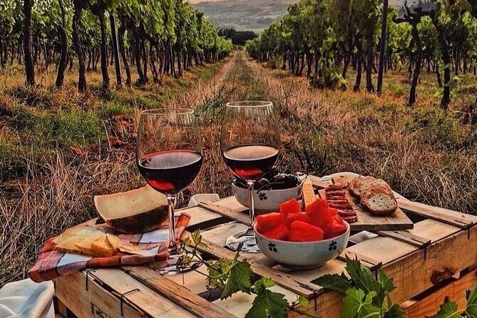 From Bologna: Chianti wine Experience with lunch - The Sum Up