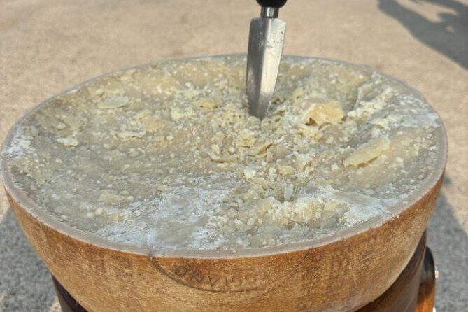 From Bologna: Parmesan Cheese & Balsamic Vinegar Tour+Lunch - Key Points