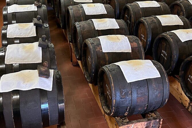 From Bologna: Parmesan Cheese & Balsamic Vinegar Tour+Lunch - Summing Up: Who’s This Tour For?