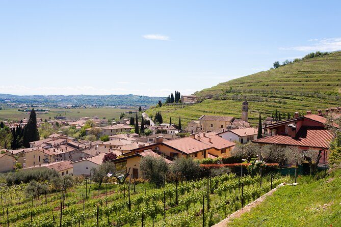From Bologna: Verona and Valpolicella Day Tour - Practical Details and Considerations