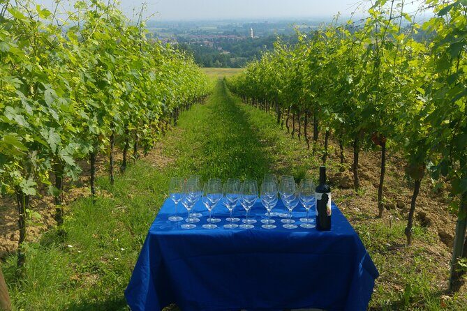 From Bologna: Wine Tasting and Vineyard Tour with the winemaker - Final Thoughts