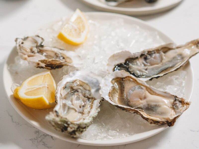 From Bordeaux: Arcachon and Pilat Dune Private Tour - What We Think: Is It Worth It?