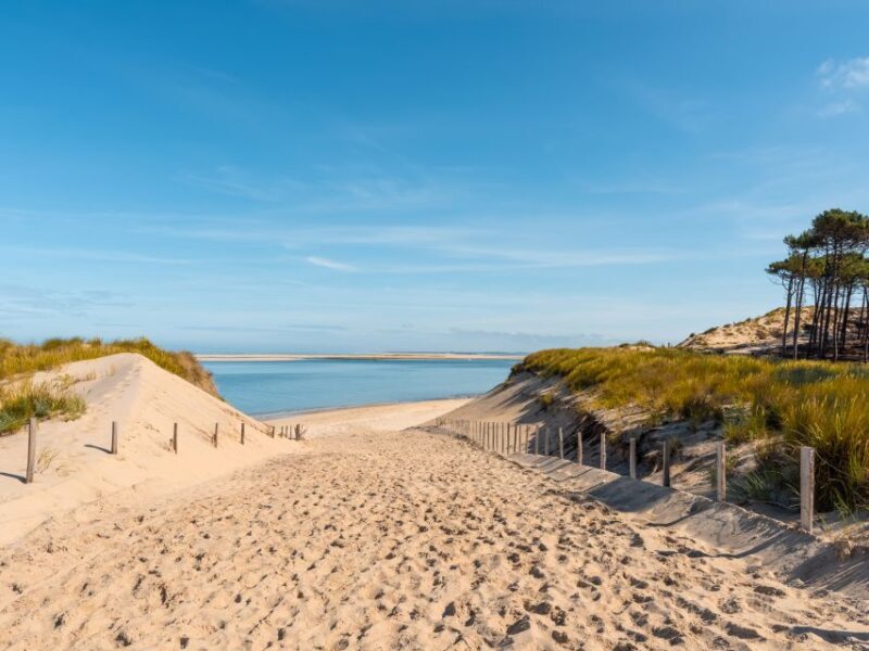 From Bordeaux: Arcachon and Pilat Dune Private Tour - The Sum Up