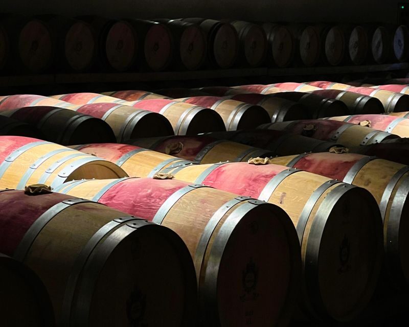 From Bordeaux: Medoc Winery Morning Tour with Wine Tasting - Final Thoughts