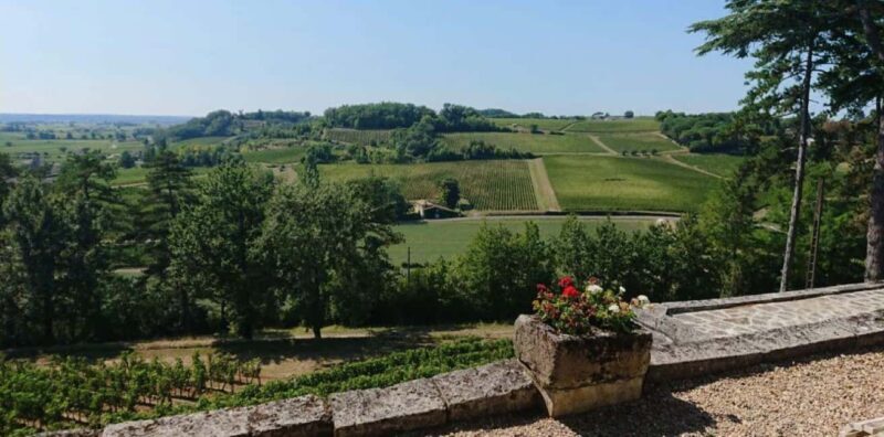 From Bordeaux: Private Tour in the Chateaux of Saint-Émilion - What to Expect on the Tour