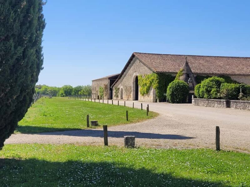 From Bordeaux: Private tour Monbazillac (Castle, Wine & Food in Dordogne) - Key Points