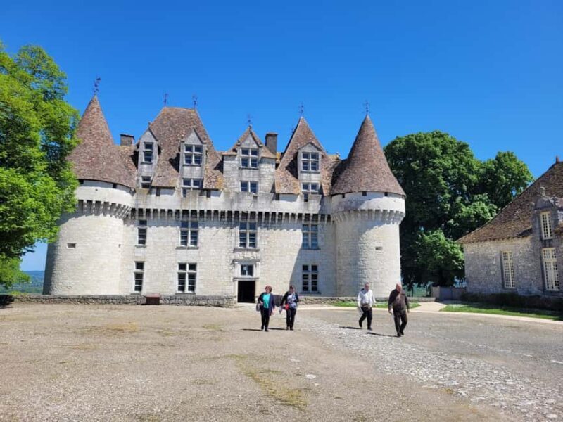 From Bordeaux: Private tour Monbazillac (Castle, Wine & Food in Dordogne) - Who is this tour best suited for?