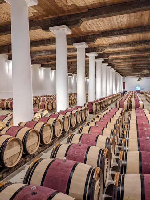 From Bordeaux: Private Wine Tour to Saint-Émilion - Exploring the Day in Detail: What to Expect
