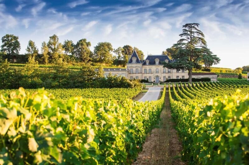From Bordeaux: Private Wine Tour to Saint-Émilion - Who Would Love This Tour?
