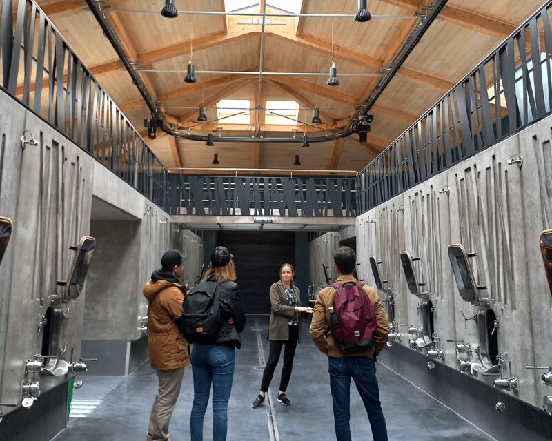 From Bordeaux: Saint-Émilion Half-Day Tour with Wine Tasting - A Closer Look at the Experience