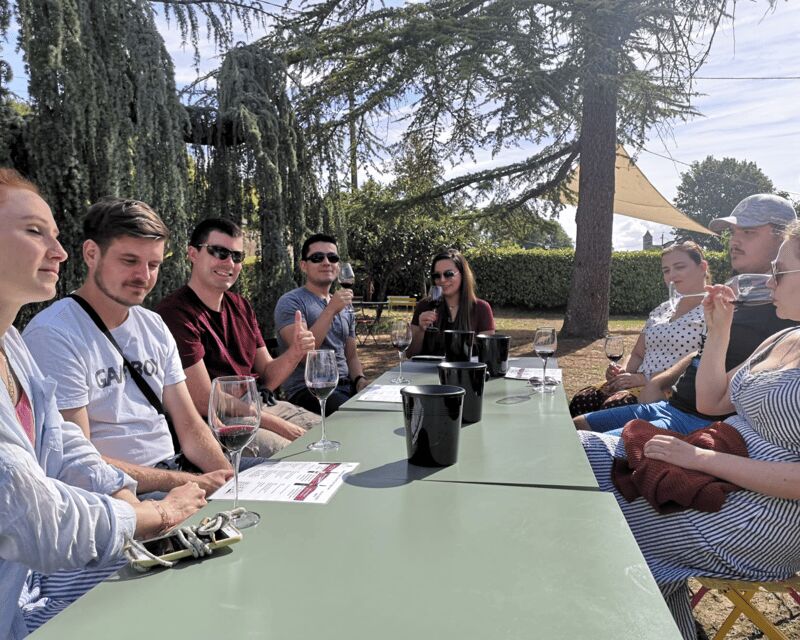 From Bordeaux: Saint-Émilion Half-Day Tour with Wine Tasting - Pricing & Value