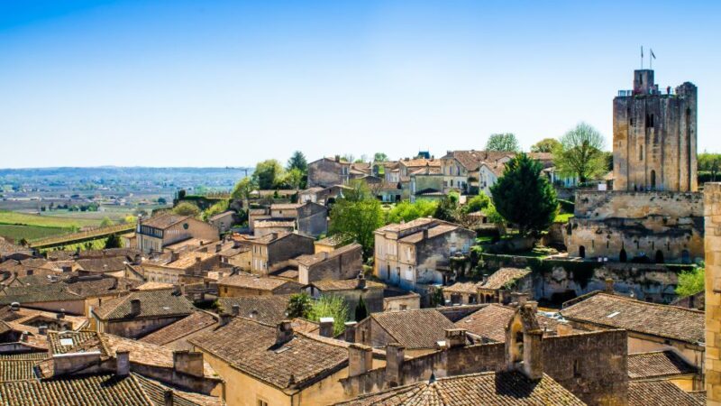 From Bordeaux: St. Emilion Village Half-Day Wine Tour - Who Will Love This Tour?