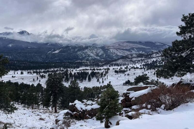 From Boulder or Denver: Rocky Mountain National Park Tour - An In-Depth Look at the Rocky Mountain National Park Tour