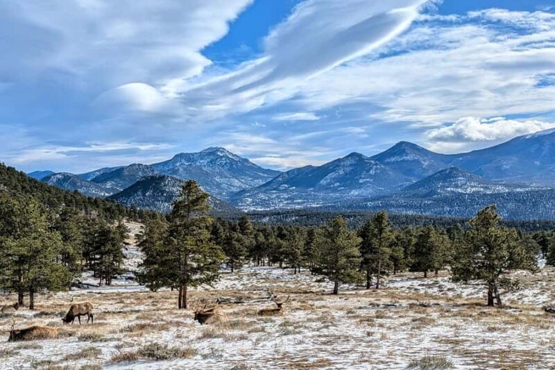 From Boulder or Denver: Rocky Mountain National Park Tour - The Sum Up