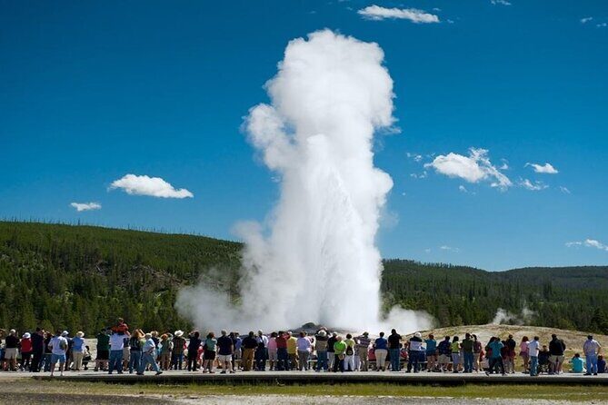 From Bozeman Yellowstone Full Day Tour Lower Loop - What Makes This Tour Stand Out?