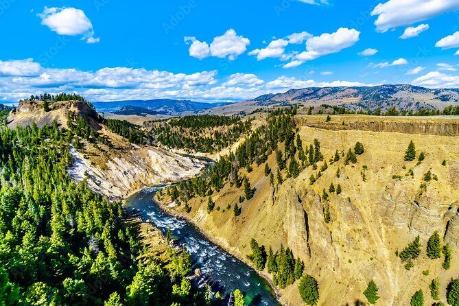 From Bozeman Yellowstone Full Day Tour Upper Loop - Key Points