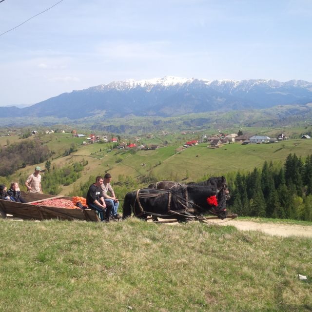 From Braov: Half or Full Day Transylvania Jeep Tour - An In-Depth Look at the Transylvania Jeep Tour