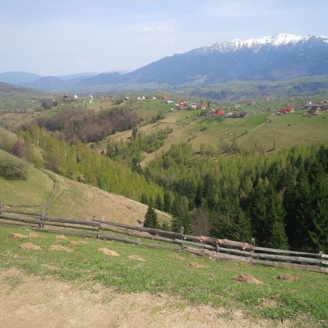 From Braov: Half or Full Day Transylvania Jeep Tour - Who Will Love This Tour?