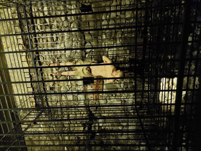 From Brasov: Corvin Castle and Sibiu (Optional Sighisoara) - Key Points