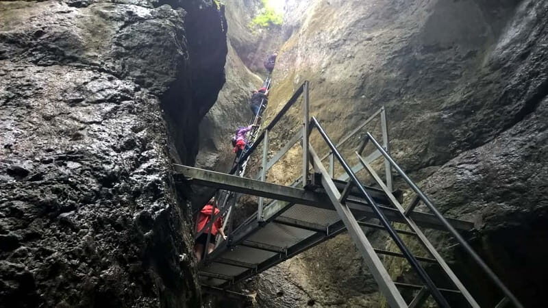 From Brasov: Day Trip to the Seven Ladders Canyon - The Itinerary Breakdown