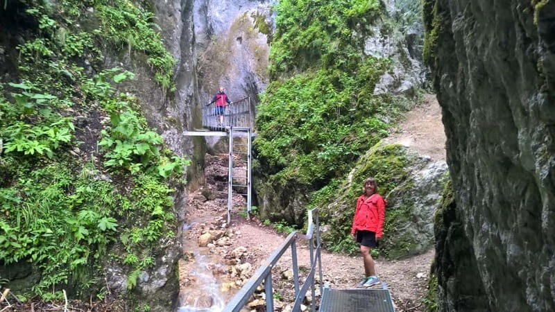 From Brasov: Day Trip to the Seven Ladders Canyon - Who Will Love This Tour?