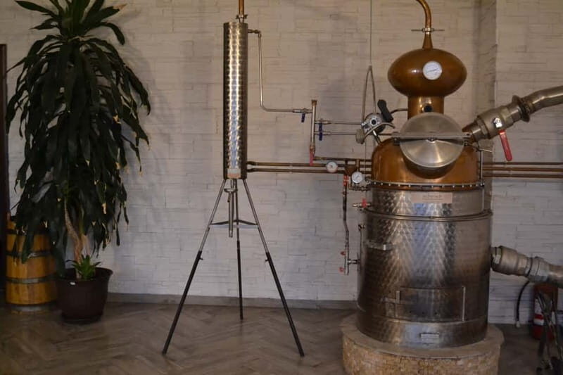 From Brasov: Guided Full-day Hidden tales of Rasnov tour - An In-Depth Look at the Hidden Tales of Rasnov Tour