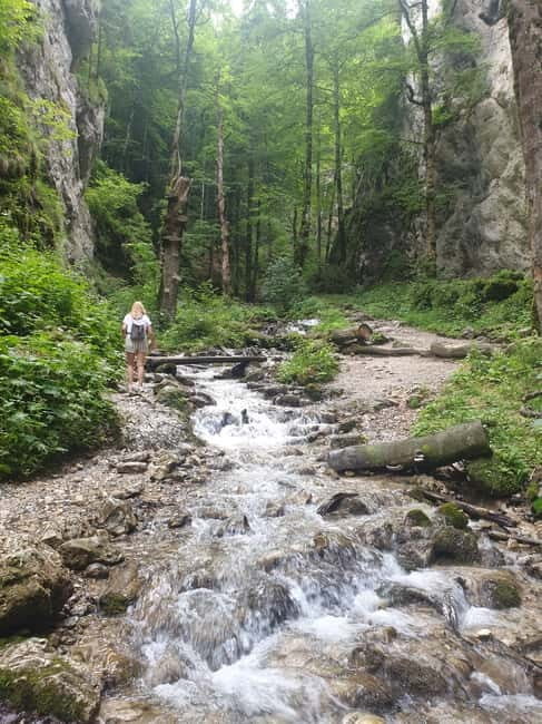 From Brasov : Hiking in Piatra Craiului National Park - What to Expect from the Piatra Craiului Hiking Tour