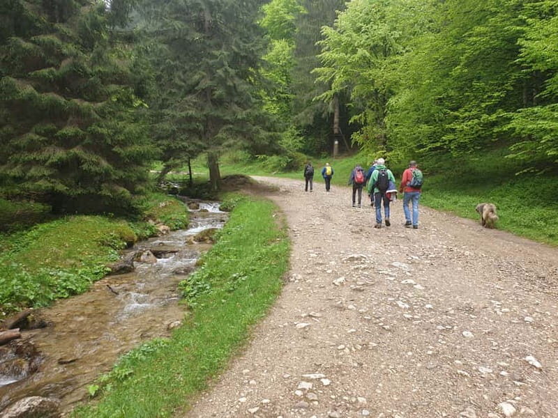 From Brasov : Hiking in Piatra Craiului National Park - Final Thoughts
