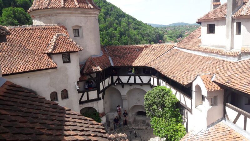 From Brasov: Peles Castle, Bran Castle & Cantacuzino Castle - Key Points