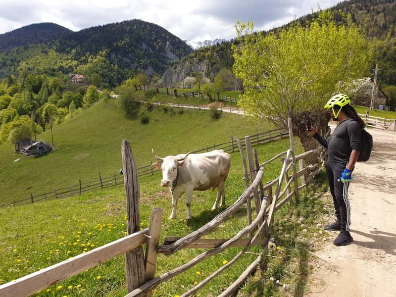 From Brasov : Piatra Craiului National Park on Ebike - Who Will Love This Tour?