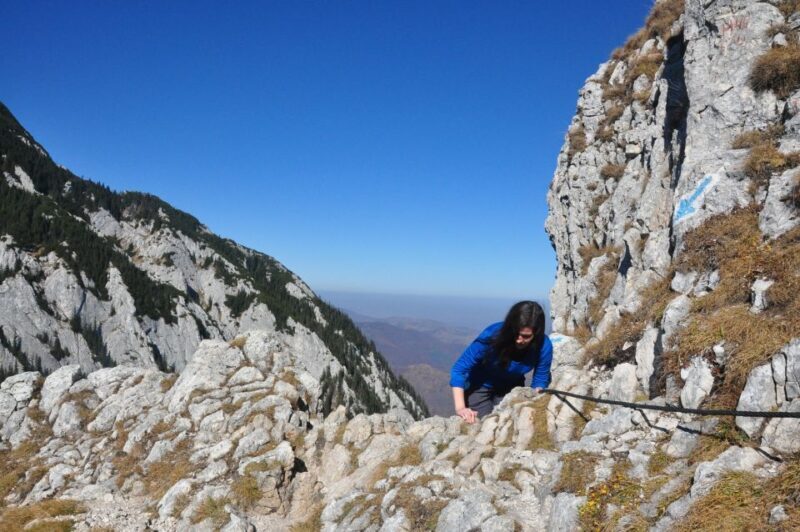 From Brasov: Piatra Craiului National Park Private Day Tour - Authenticity & Real Traveler Insights