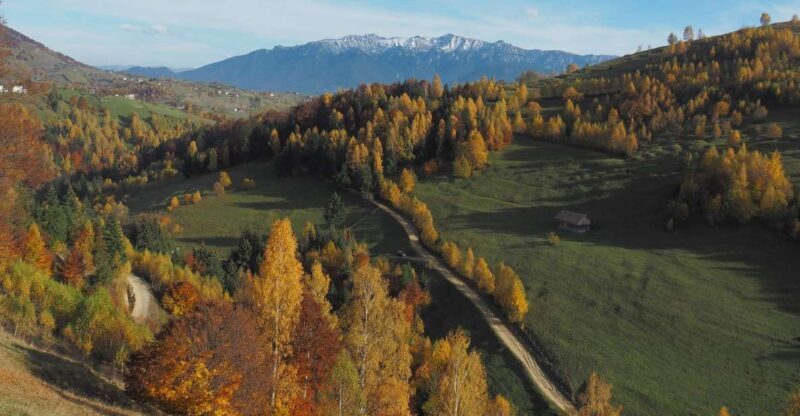 From Brasov: Romanian Mountain Villages Day Tour - Who This Tour Is Best For