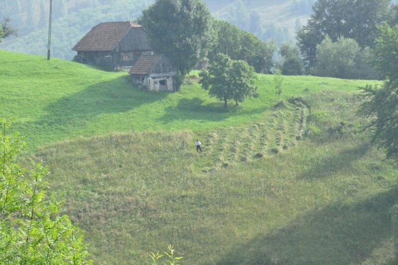 From Brasov: Romanian Mountain Villages Day Tour - Final Thoughts