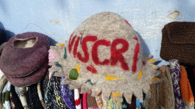 From Brasov: Sighisoara and Viscri UNESCO Day Tour - Discovering Transylvania: A Full-Day Tour from Brasov to Viscri and Sighisoara