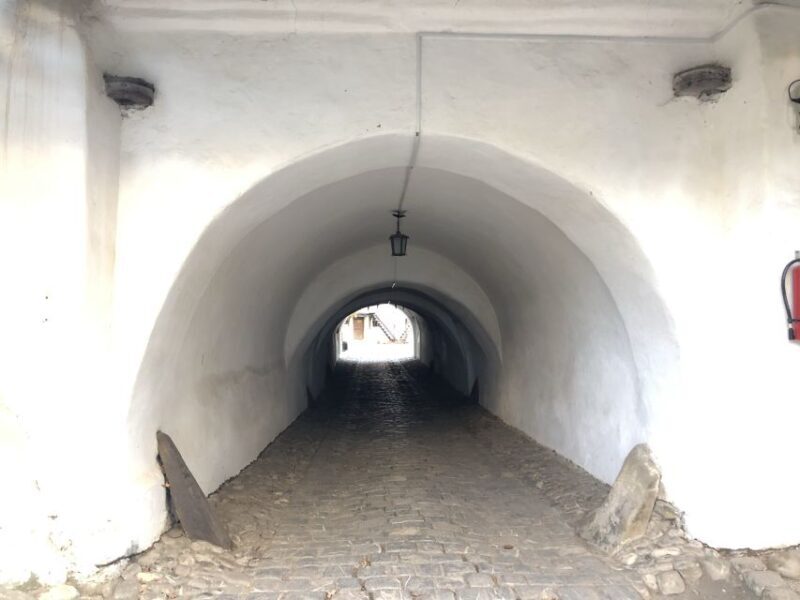 From Brasov: Small-Group Half-Day Fortified Churches Tour - An In-Depth Look at the Tour