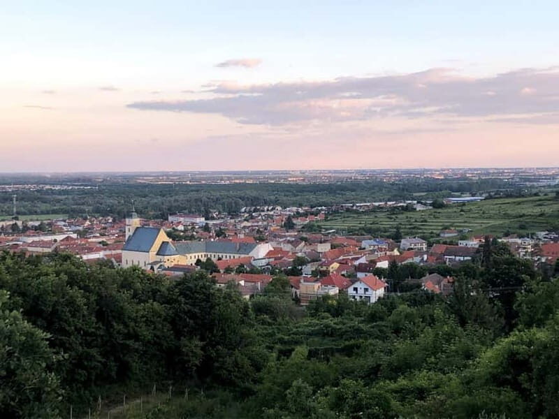 From Bratislava: Organic Wine Tasting in Svaty Jur - A Closer Look at the Itinerary