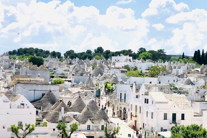 From Brindisi. Ostuni, Alberobello and Polignano a Mare Tour - Overview of the Tour Experience
