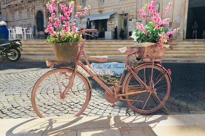 From Brindisi. Ostuni, Alberobello and Polignano a Mare Tour - Who Should Consider This Tour?