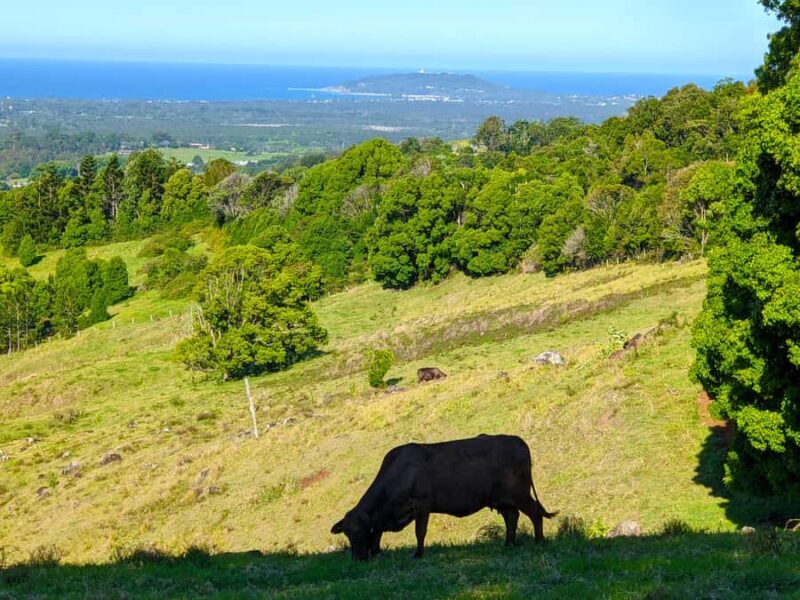 From Brisbane: Byron Bay, Bangalow, and Gold Coast Day Tour - Visiting Bangalow: The Rural Charm