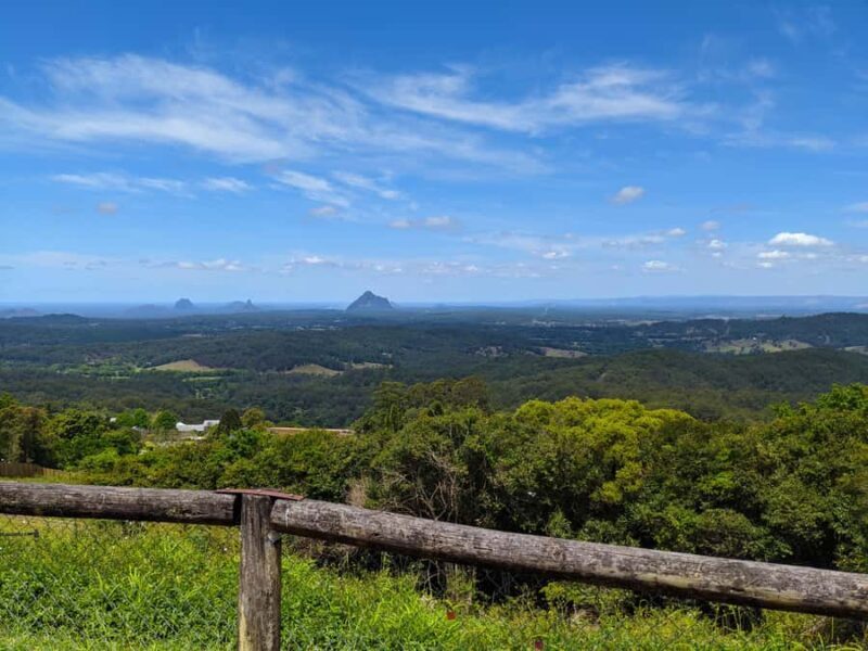 From Brisbane: Day Trip to Noosa, Glass House Mtns and Zoo - Key Points