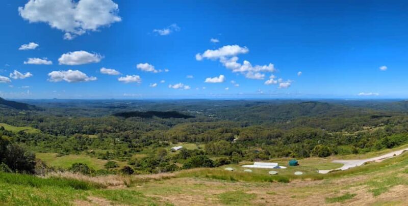 From Brisbane: Day Trip to Noosa, Glass House Mtns and Zoo - Pricing and Value