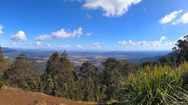 From Brisbane: Tamborine Mountain and Paradise Point Tour - FAQ